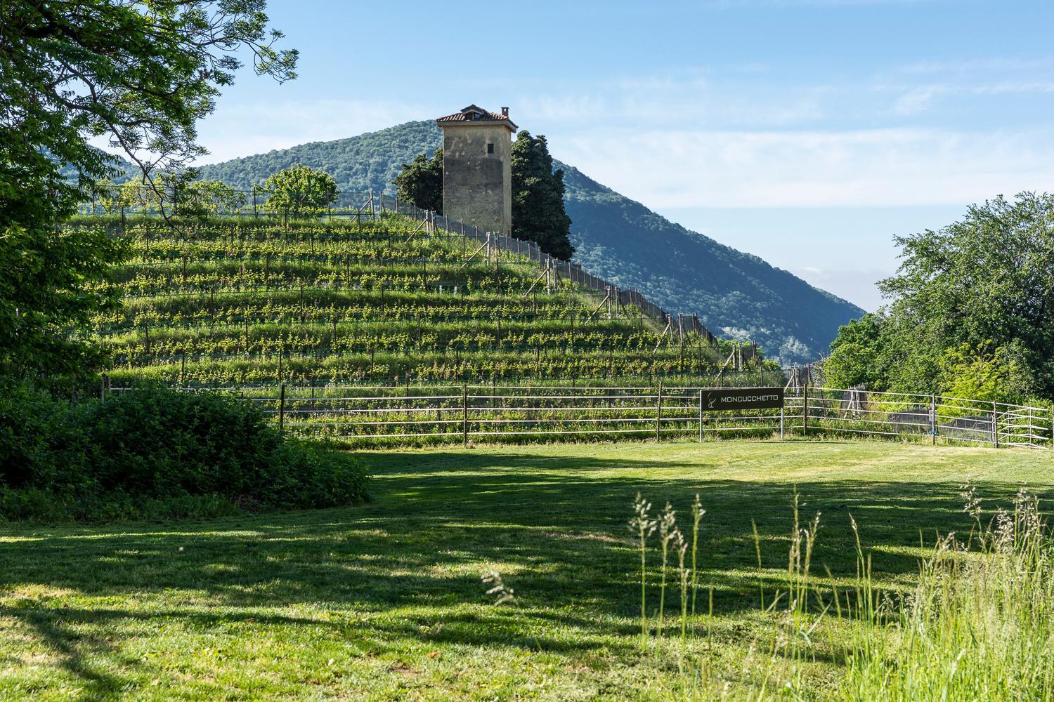 Collina D'oro - Hotel, & Hotel